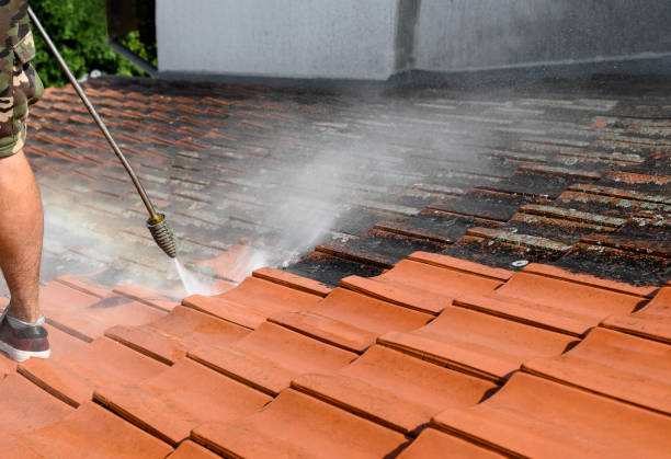 Best Pressure Washing Estimates  in White City, UT
